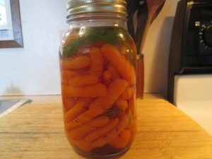 Pickled Dill carrots 003
